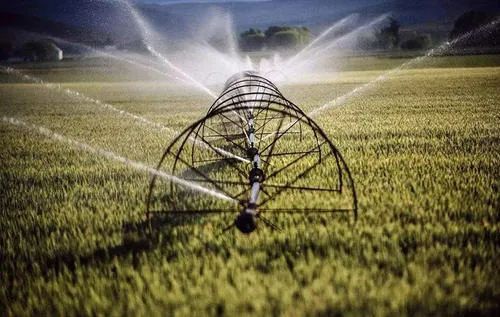 生物育種與數(shù)字農業(yè)雙翼齊飛 引領現(xiàn)代農業(yè)科技新革命