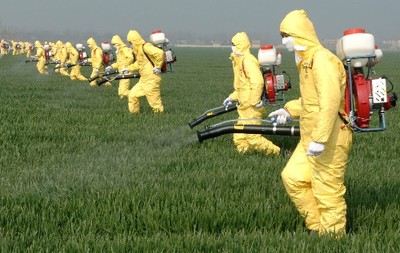 綠色守護 生物農藥技術研發(fā)——有機農業(yè)病蟲害防治的關鍵突破